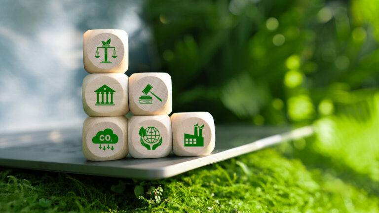 Who’s Keeping Score? The Carbon Credit Standards Companies Should Actually Trust