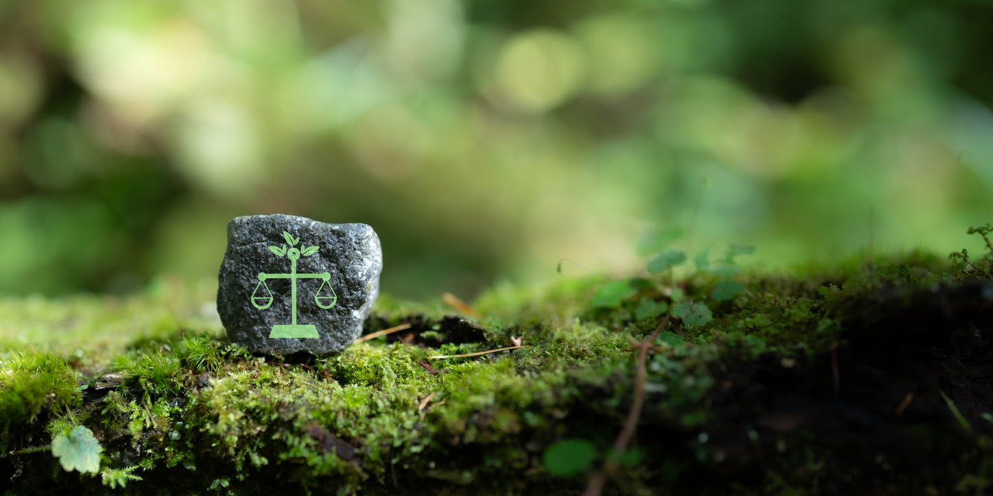 International environmental law concept. Climate or environmental justice. Environmental regulations for sustainable business corporate and industry. International law for environmental protection.