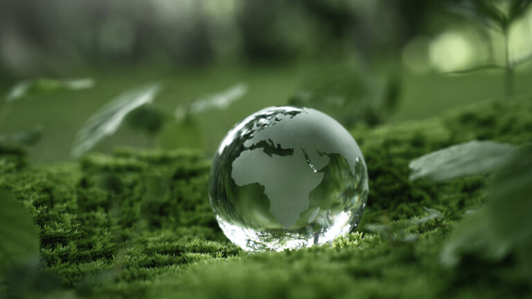 Why Carbon Removal Credits Are Gaining Ground over Avoidance