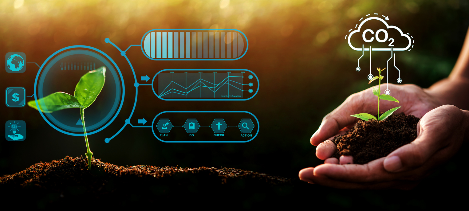 Hand of someone holding sapling growing from the soil with digital data info.