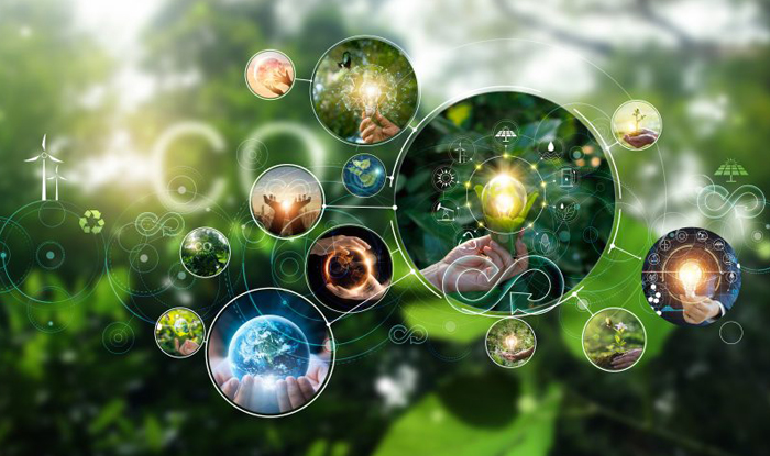 CARBON CREDIT OFFER 1