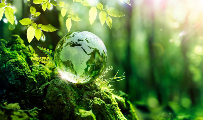 CARBON CREDIT OFFER 2