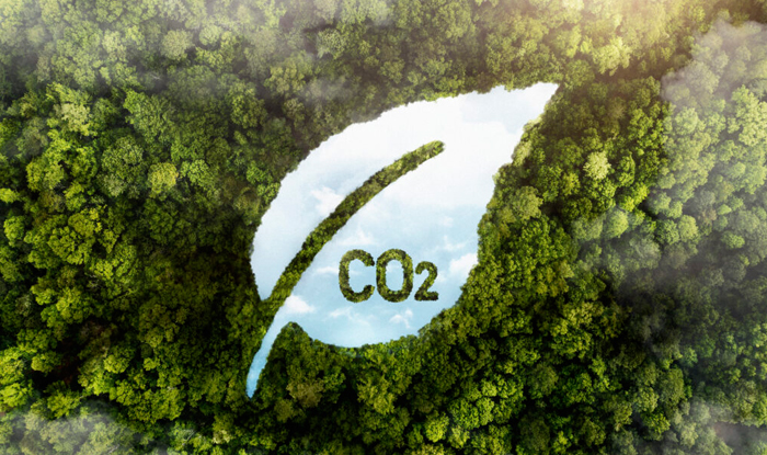 CARBON CREDIT OFFER 3