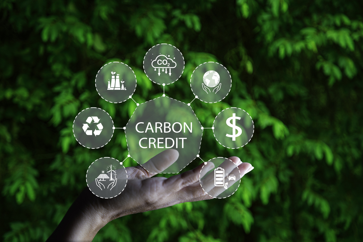 Carbon Credit Market. Carbon credit icon in hand on green leaf background. Icon energy and environmental protection round green energy neutral carbon Net zero greenhouse gas emissions target in 2050