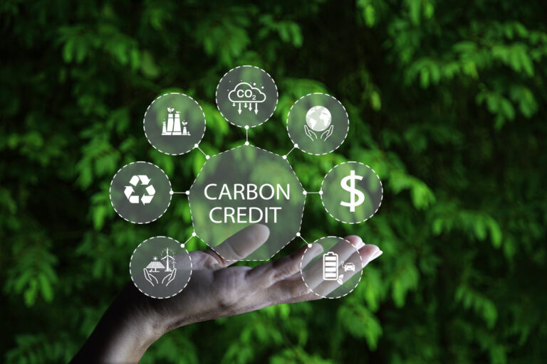 What Are Carbon Credits
