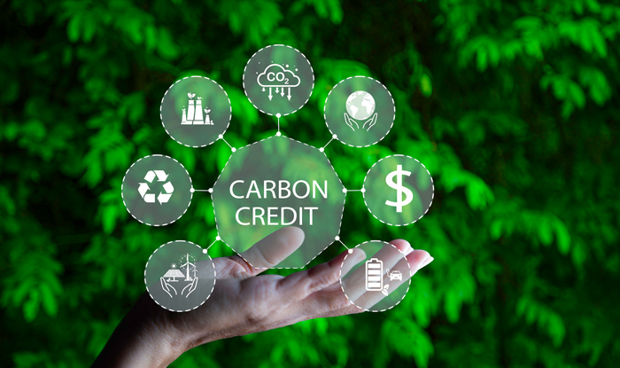 HOME pg Carbon Credits