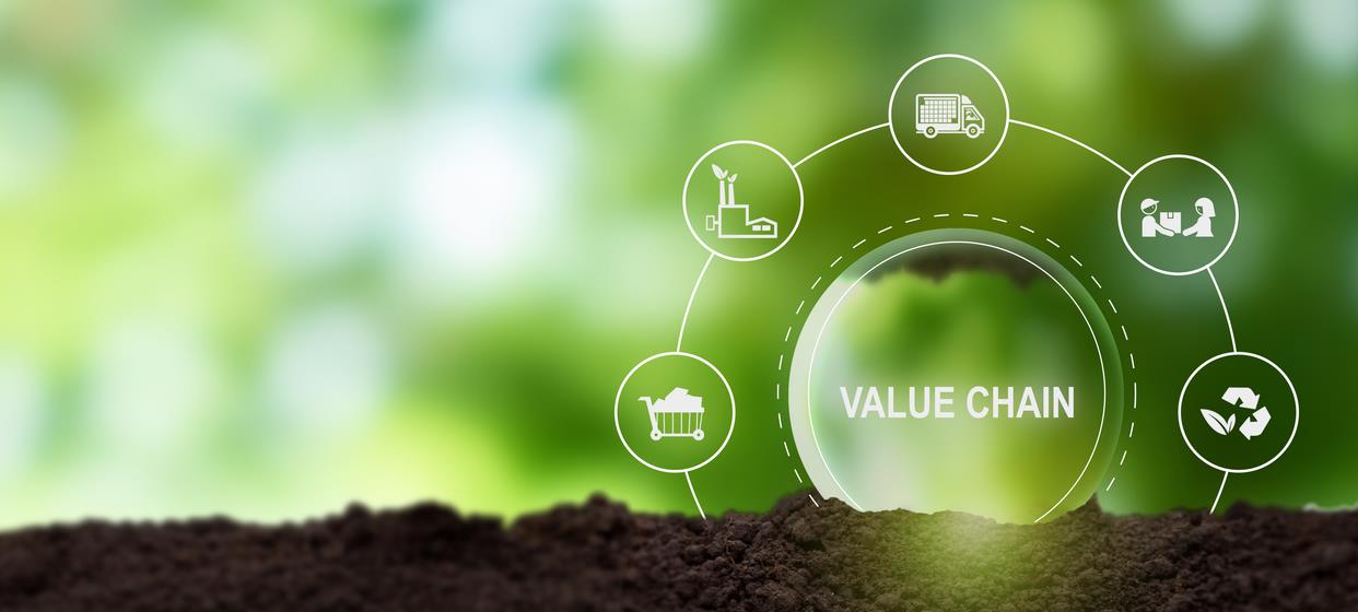 Long-Term Carbon Storage