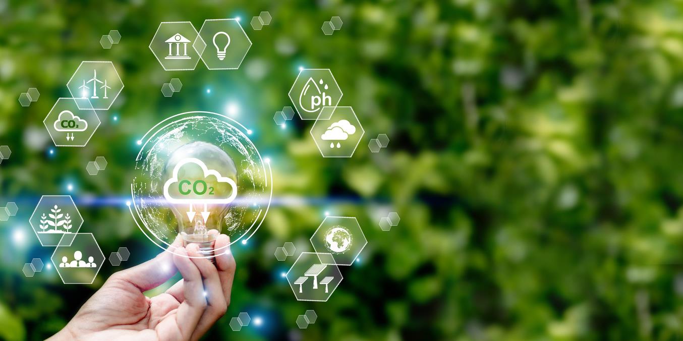 Practices for Corporate Buyers