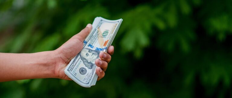 Seller Success Stories: Real-World Carbon Project Wins