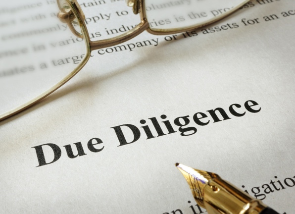 Vet a Carbon Credit Project