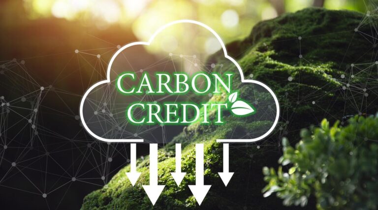 What Makes a High-Quality Carbon Credit